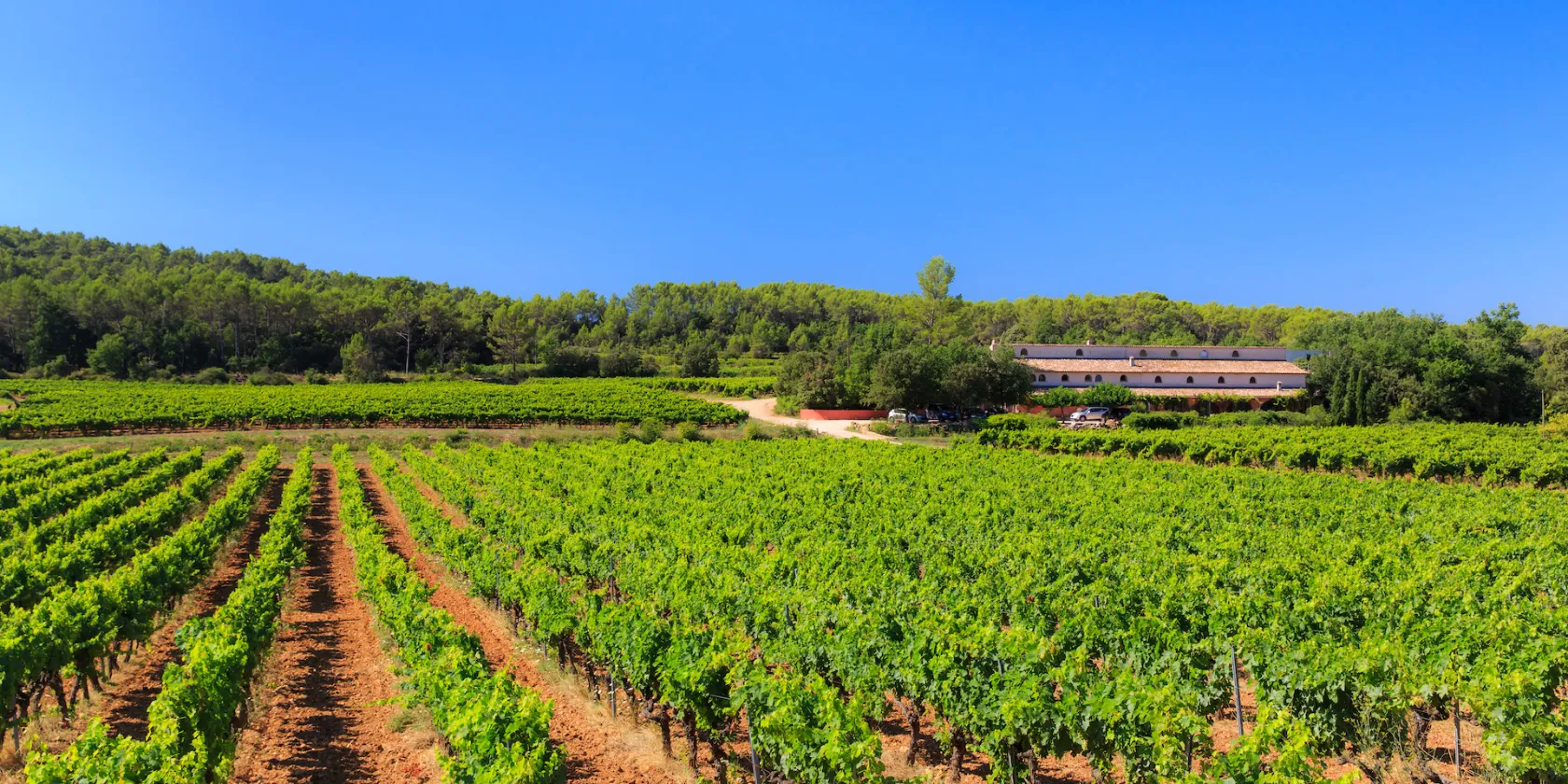 Weekend “da bere” in Provenza