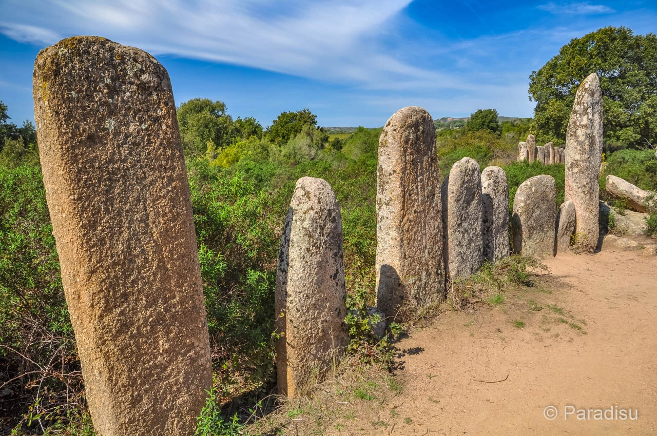 Preistoria e natura nella Corsica del sud