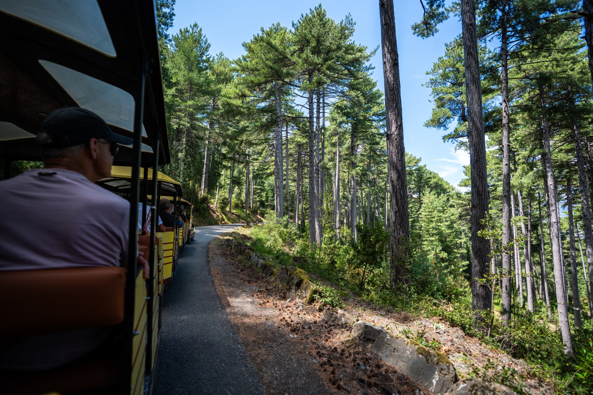 Festa di U Legnu e di a Foresta - Foresta di Padula e Vezzani