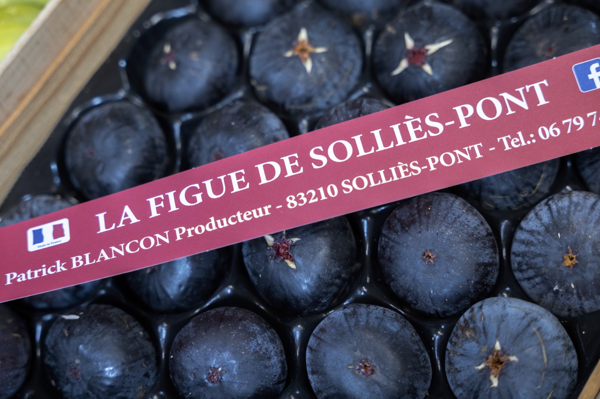 Fête de la Figue – Solliès-Pont